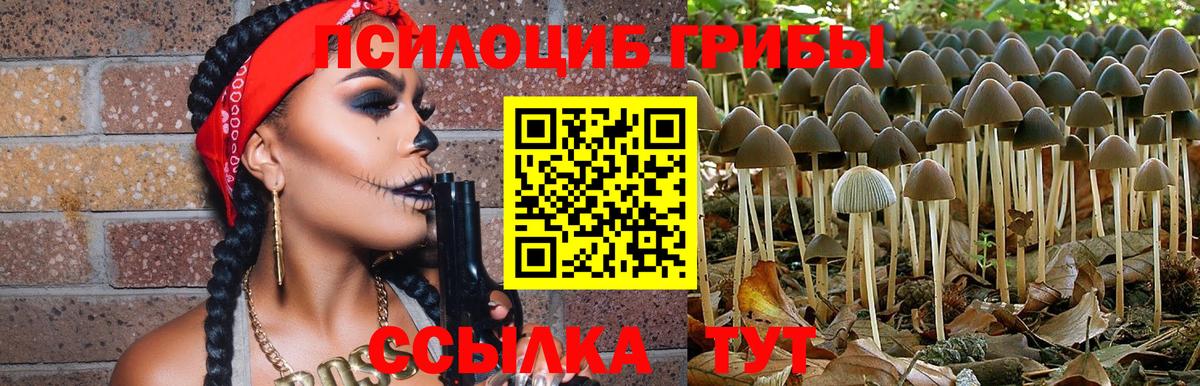 Кузнецк  Галлюциногенные грибы Cubensis  Галлюциногенные грибы Cubensis  Вход с VPN 